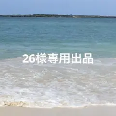 26様専用出品 — image 1