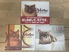 【月曜値下げ】【３冊セット】　宇都宮隆 プロデュース 　愛猫写真集　レア　希少 — image 1
