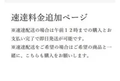 速達配送　追加購入ページ — image 1