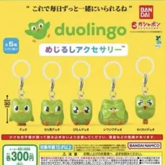 duolingo めじるしアクセサリー 全5種コンプリート — image 1