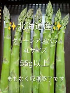 4Lサイズ✨️北海道産⭐️グリーンアスパラ⭐️ — image 1
