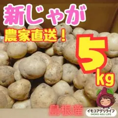 ​【農家直送・箱込み5kg】ホクホク新じゃが（男爵）！サイズ不揃いでお買い得 — image 1
