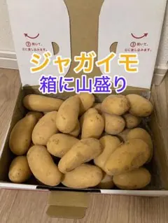 じゃがいも 箱詰め 約25～30個 — image 1