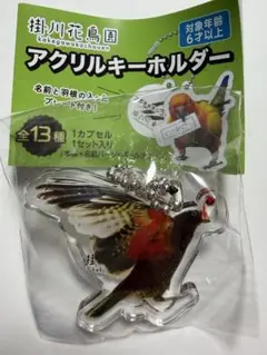 掛川花鳥園限定　アクリルキーホルダー — image 1