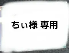 ちぃ様 専用 — image 1