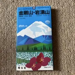 山と高原地図 53 金剛山・岩湧山 1987年版 — image 1