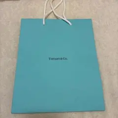 Tiffany & Co. ショップ袋 ショッパー — image 1