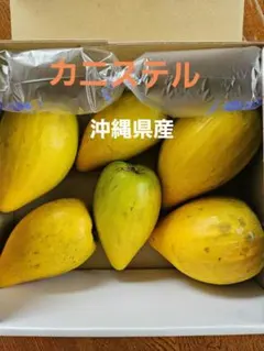 カニステル 6個入り　沖縄県産 現品発送　1点限り　お試し価格 — image 1