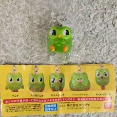 Duolingo デュオリンゴ めじるしアクセサリー — image 1