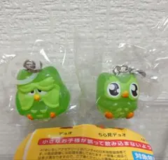 【duolingo】めじるしアクセサリー — image 1
