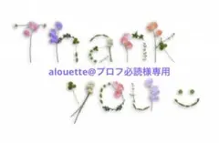 alouette@プロフ必読様専用　梅干し中粒1kg 赤紫蘇500g — image 1