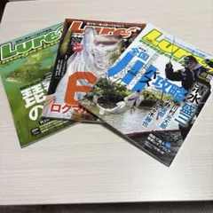 ルアーマガジン　３冊セット — image 1