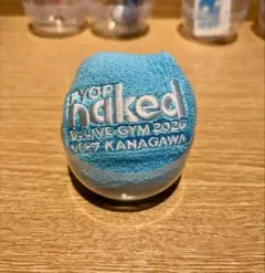 B'z 2026 FYOP naked ガチャ リストバンド6/27 — image 1