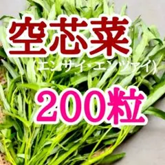hal様 リクエスト 2点 まとめ商品 — image 1