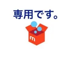 哲様専用 — image 1