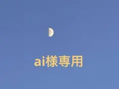 ai様専用 — image 1