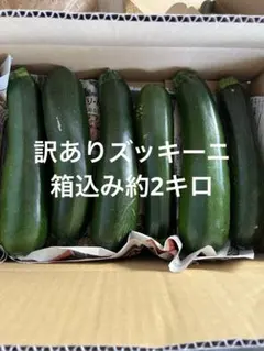 訳ありズッキーニ　箱込み約2キロ — image 1
