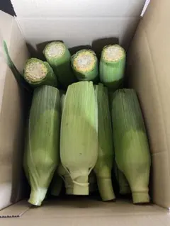訳あり　スィートコーン　みらい — image 1