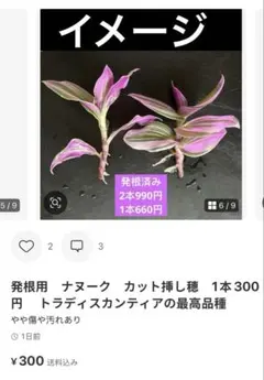 。様専用　2点まとめ買い — image 1