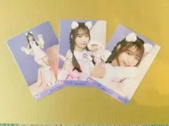 ＝LOVE イコラブ　瀧脇笙古　生写真 猫衣装　コンプ　７周年コンサート — image 1
