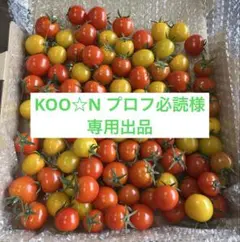 KOO☆N プロフ必読様 専用出品 — image 1