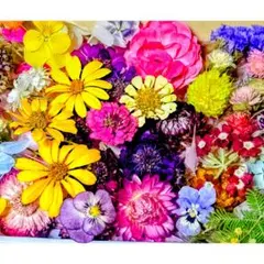 ドライフラワー花材(ミニ) — image 1