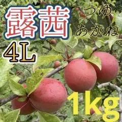 71 希少‼️露茜　3Lサイズ　4L — image 1