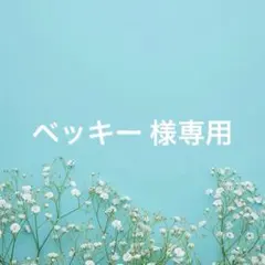 ベッキー様専用 ネコポス発送 — image 1