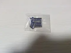 帝塚山学園 コーラスコンクール ピンバッジ バッジ — image 1