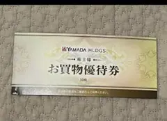 ヤマダ電機 株主優待 お買物優待券　10枚 — image 1