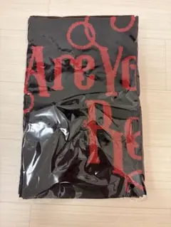 【新品・未開封】Are You Ready? タオル — image 1