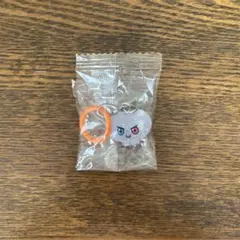 TREASURE BONBON めじるしアクセサリー ジュンギュ ラメ — image 1