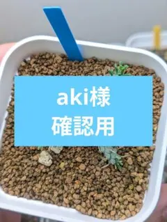 aki様確認用 — image 1