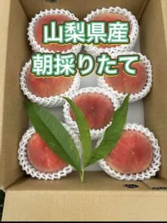 b 83 山梨県　桃　家庭用　6～8玉 — image 1