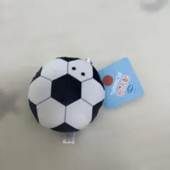 つぶらな瞳の部活動、サッカーボールマスコット — image 1