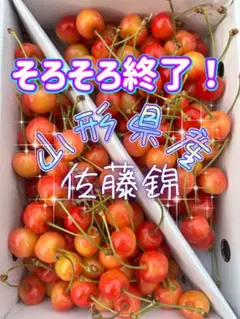 山形県産さくらんぼ　佐藤錦 — image 1