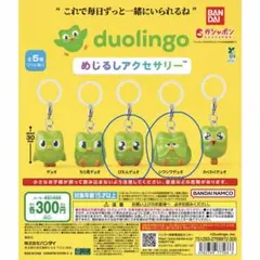 Duolingo めじるしアクセサリー ガチャ 2種セット — image 1