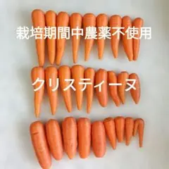 アウトレット★栽培期間中農薬不使用★小さい 人参 クリスティーヌ — image 1