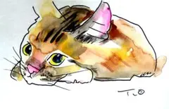 No1835ドローイング水彩画今日の猫 — image 1