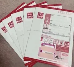 レターパックプラス 600 封筒 5枚セット — image 1