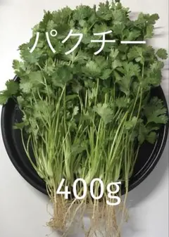 パクチー 香菜 コリアンダー 400g — image 1