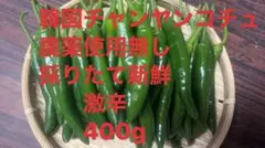 韓国産 チャンヤンコチュ 400g 無農薬 — image 1