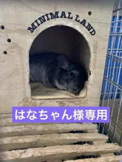 はなちゃん様専用 — image 1