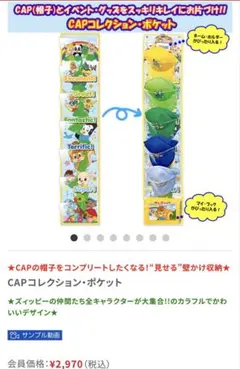 新品未使用未開封　DWE CAPコレクション　ポケット — image 1