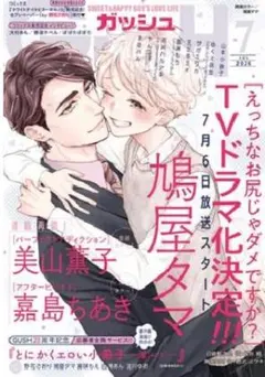 BL雑誌 GUSH (ガッシュ) 2026年7月(最新)号 — image 1