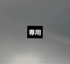 専用 — image 1