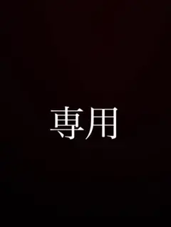 専用 — image 1