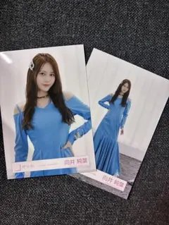 櫻坂46 向井純葉　生写真　Lonesome Rabbit MV衣装 — image 1