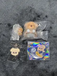 Stray Kids スキズ PuppyM パピーム4点セット — image 1
