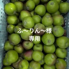 ふ〜りん〜様専用 — image 1